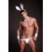 Мужской костюм белого зайца