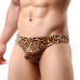 Леопардовые трусы-тонги